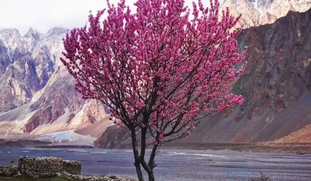 How to Visit Passu Cones & Hussaini Bridge from Islamabad